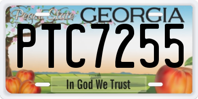 GA license plate PTC7255