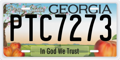 GA license plate PTC7273