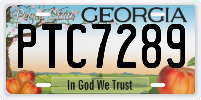 GA license plate PTC7289