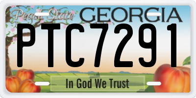 GA license plate PTC7291