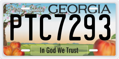 GA license plate PTC7293