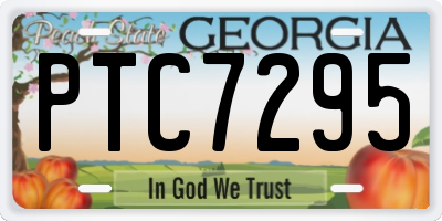 GA license plate PTC7295