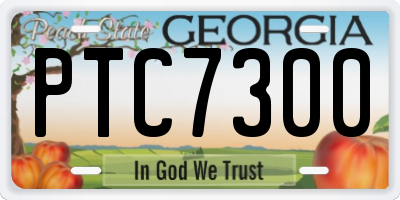 GA license plate PTC7300