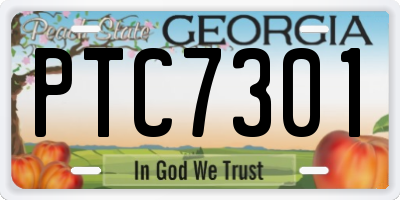 GA license plate PTC7301
