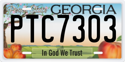 GA license plate PTC7303