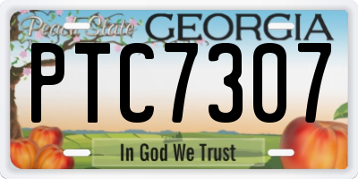 GA license plate PTC7307