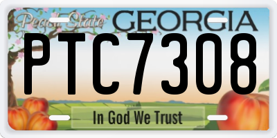 GA license plate PTC7308