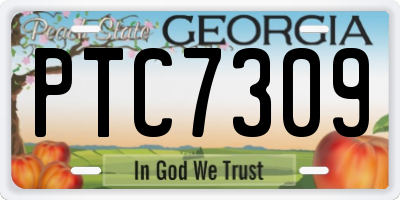 GA license plate PTC7309
