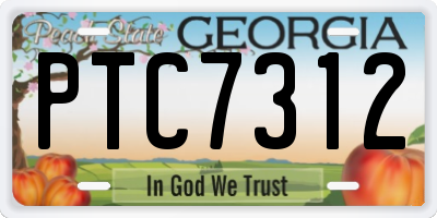 GA license plate PTC7312