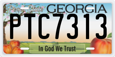 GA license plate PTC7313
