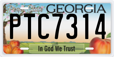 GA license plate PTC7314