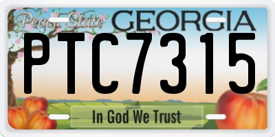 GA license plate PTC7315