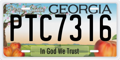 GA license plate PTC7316