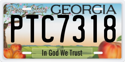 GA license plate PTC7318