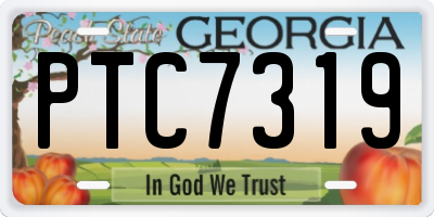 GA license plate PTC7319