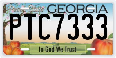GA license plate PTC7333