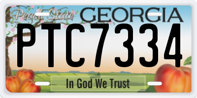 GA license plate PTC7334