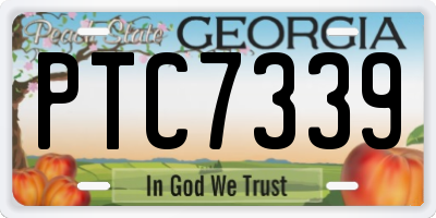 GA license plate PTC7339