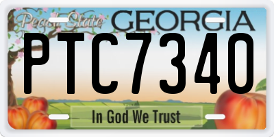 GA license plate PTC7340