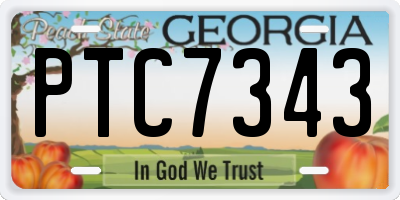 GA license plate PTC7343
