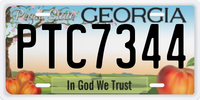 GA license plate PTC7344