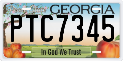 GA license plate PTC7345