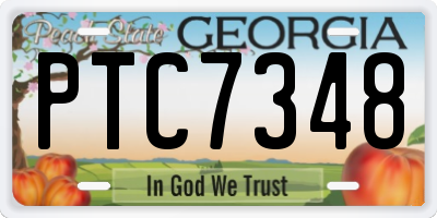 GA license plate PTC7348