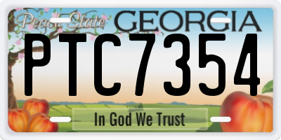 GA license plate PTC7354