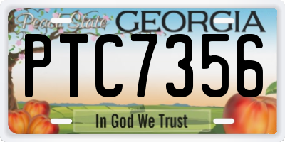 GA license plate PTC7356