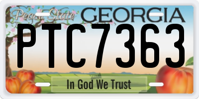 GA license plate PTC7363