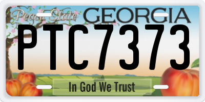 GA license plate PTC7373
