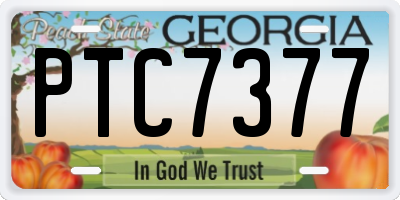 GA license plate PTC7377