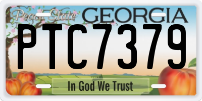 GA license plate PTC7379