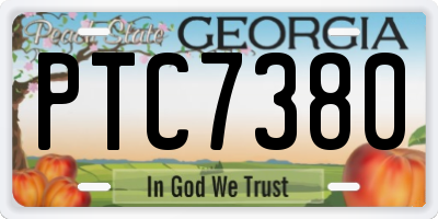 GA license plate PTC7380