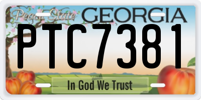 GA license plate PTC7381