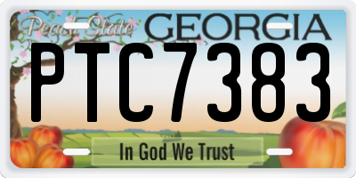 GA license plate PTC7383