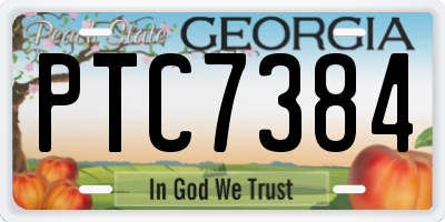 GA license plate PTC7384