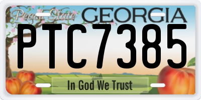 GA license plate PTC7385