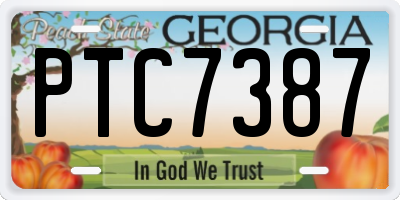 GA license plate PTC7387