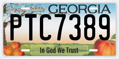GA license plate PTC7389