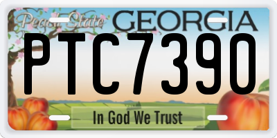 GA license plate PTC7390