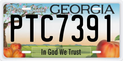 GA license plate PTC7391