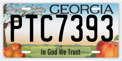 GA license plate PTC7393