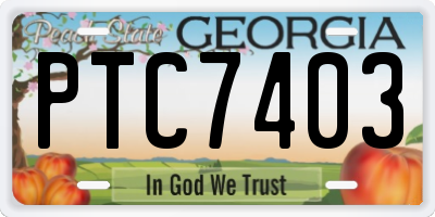 GA license plate PTC7403