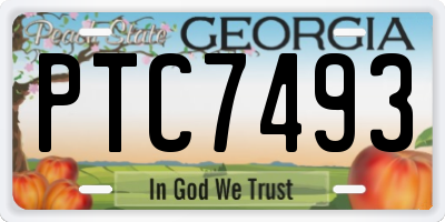 GA license plate PTC7493