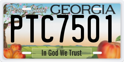 GA license plate PTC7501
