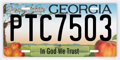 GA license plate PTC7503