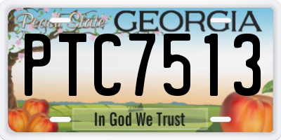 GA license plate PTC7513