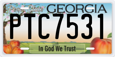 GA license plate PTC7531