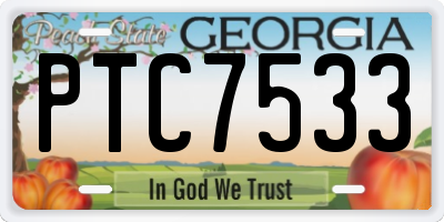 GA license plate PTC7533